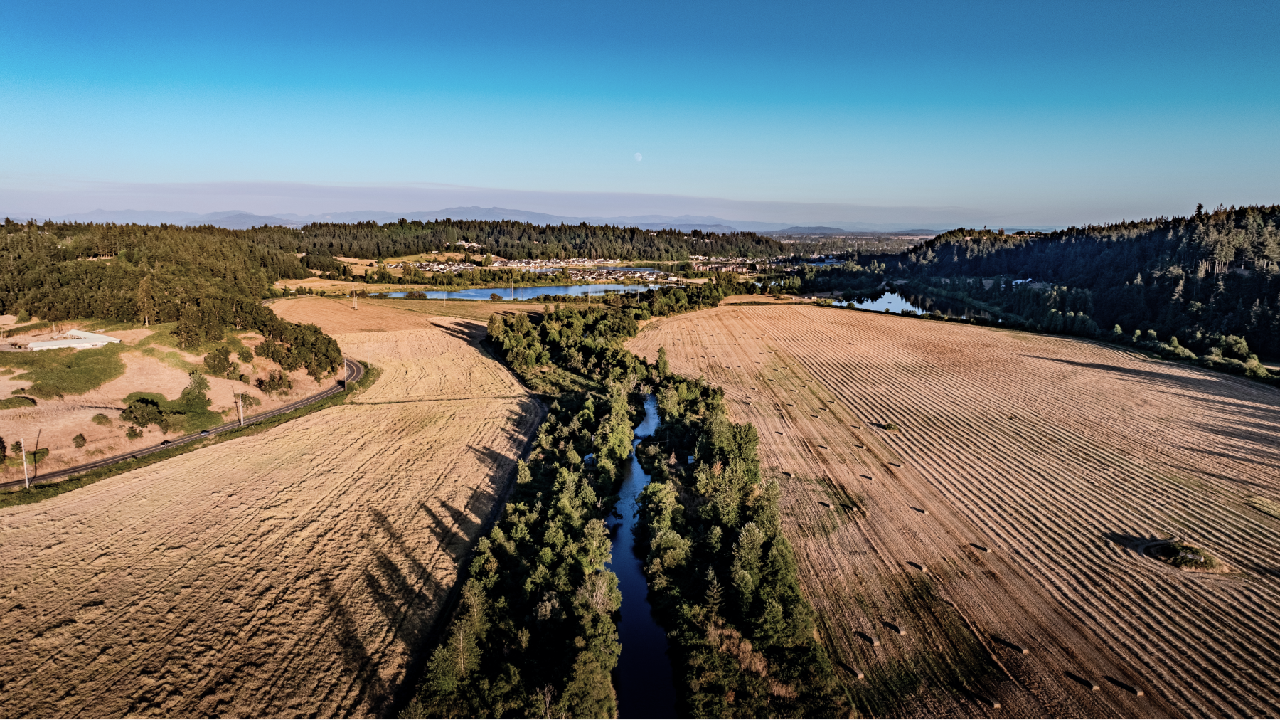 Turner Rd landscape