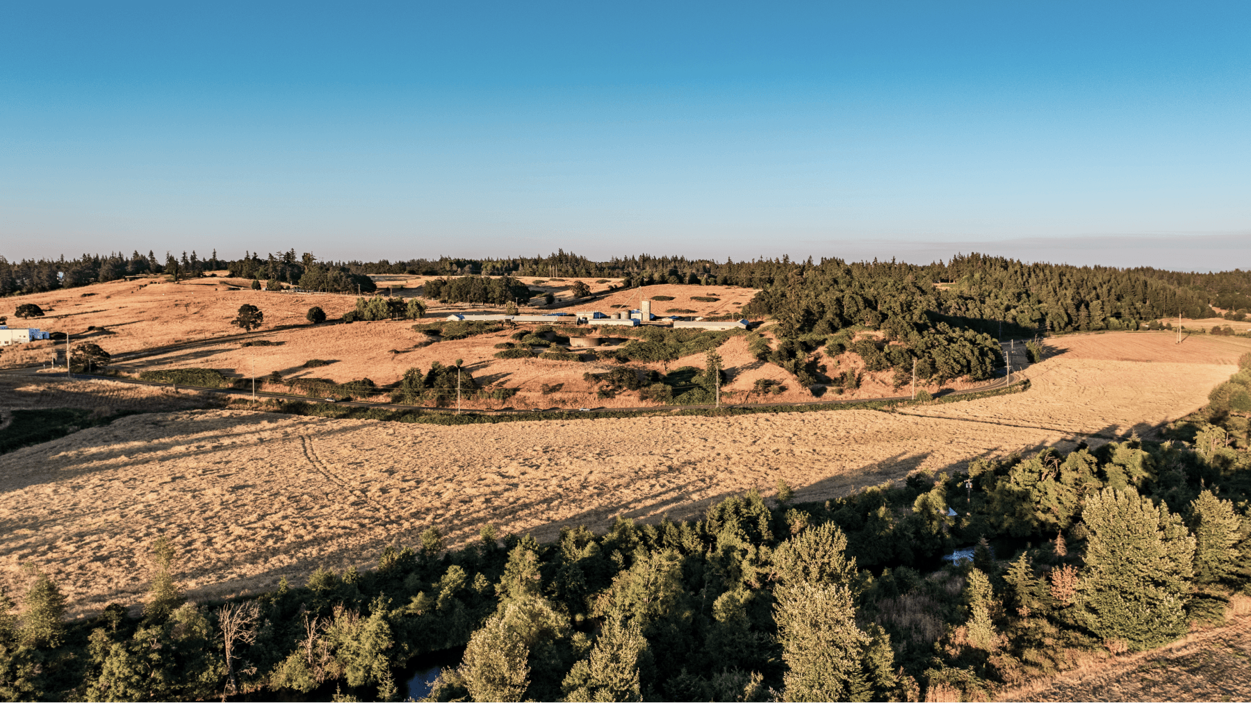 Turner Rd landscape